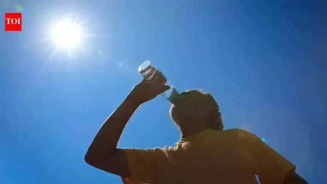 Delhi records highest early March temp in 50 years as mercury rises across north