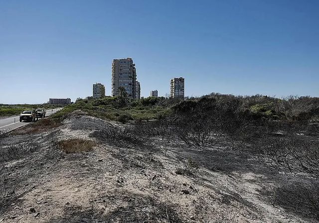 El incendio de El Saler, controlado tras arrasar 37 hectáreas