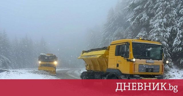 Първи снежинки на Витоша, сняг вали и на Петрохан