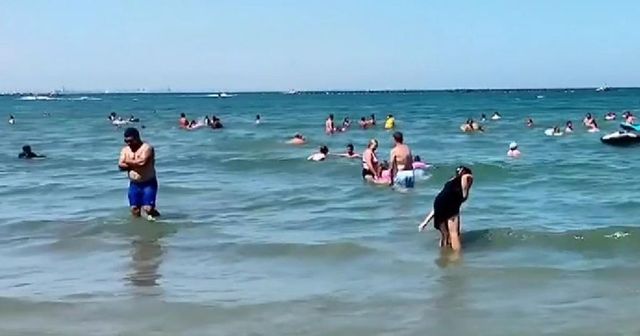 Un copil de șase ani a fost mușcat pe o plajă din Năvodari, de o femeie de 42 de ani