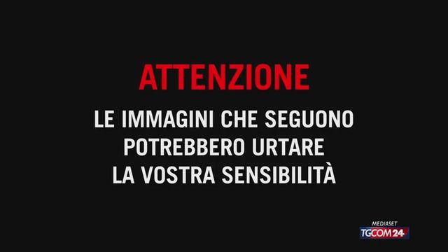 Roma, il video dello studente che ha accoltellato l'insegnante: la preparazione e poi entra in azione
