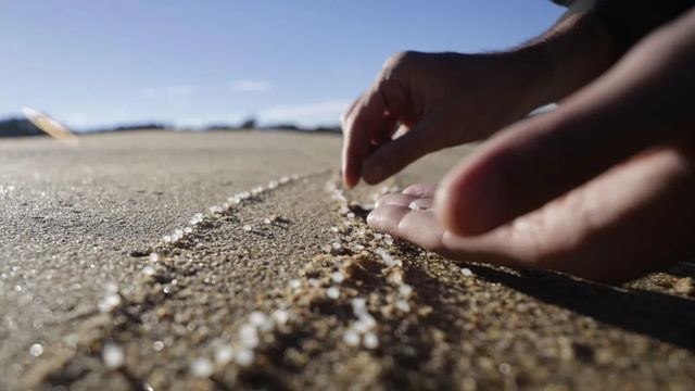 Europa aumenta la presión contra el vertido de pellets de plástico en el aniversario del caso en Galicia