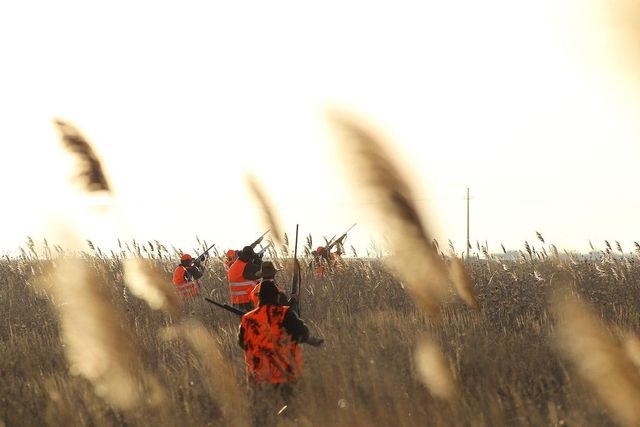 Bărbat împușcat în timpul unei partide de vânătoare în Buzău, transportat de urgență la spital