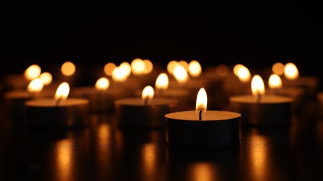 Meghalt Szelényi Iván szociológus