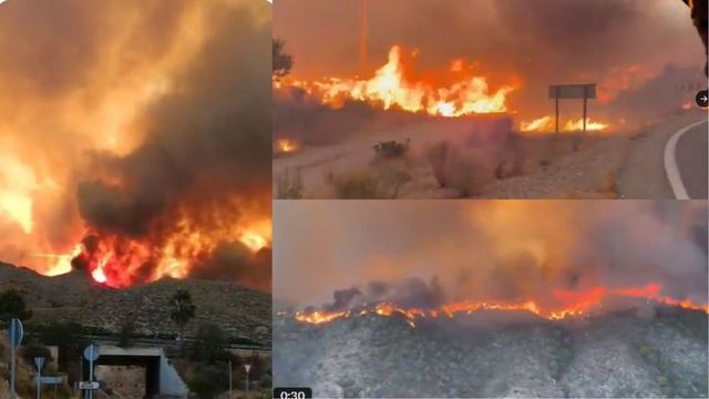 Spain wildfire kills 11 in Almeria as extreme heat fans deadly blaze