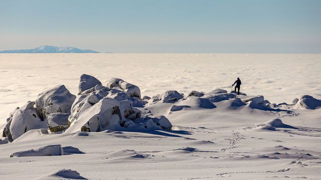 Издирват 22-годишен мъж в района на Витоша