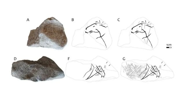 Koňská hlava stará 15 tisíc let. Vědci našli v Moravském krasu unikátní rytinu