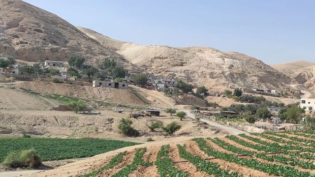 Wafa, '3 italiani feriti da coloni in Cisgiordania'