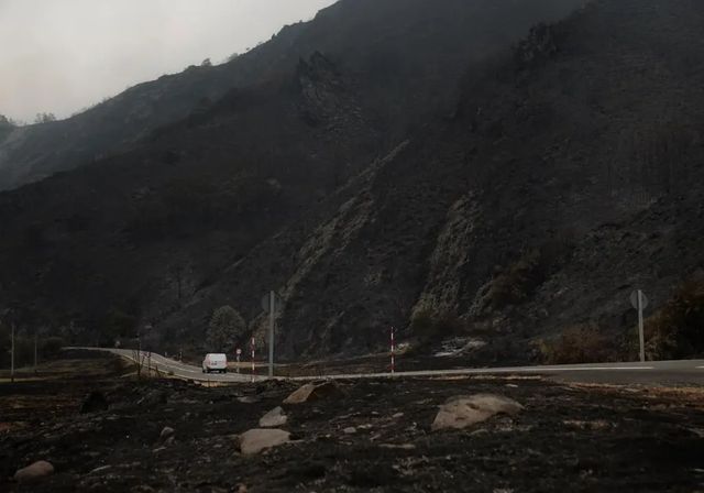 Qué significa la declaración de una zona catastrófica