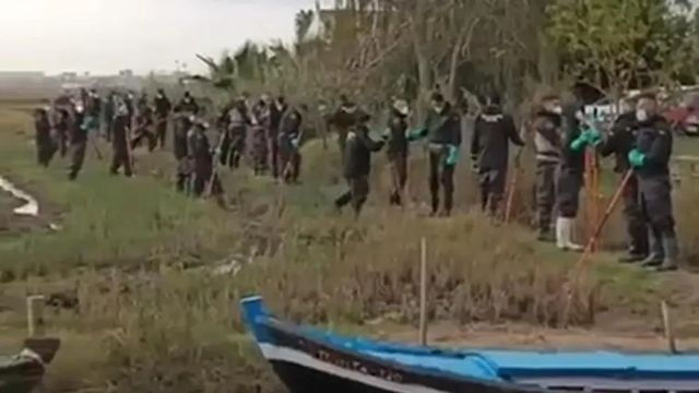 La búsqueda de los desaparecidos tras la DANA lleva a rastrear metro a metro l'Albufera