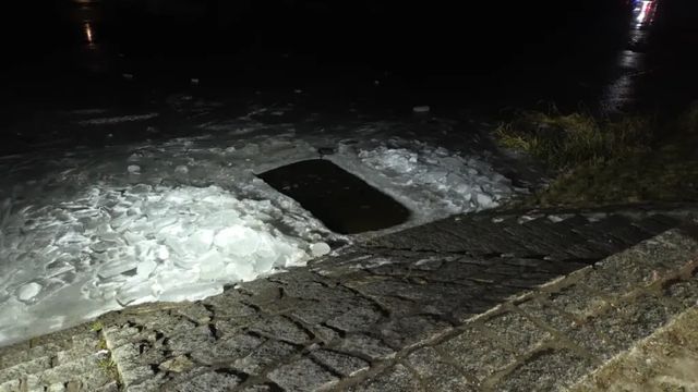 Jedna z dívek, jež se topily ve Vltavě, zemřela