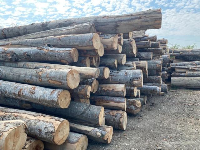 Persoanele vulnerabile pot depune cereri pentru a beneficia de ajutorul la încălzire și de suplimentul pentru energie