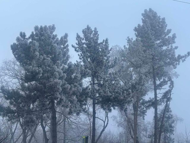 Cod galben de polei și ghețuș în Republica Moldova, valabil până pe 6 februarie