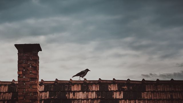 Rendőrségi eljárás és belső vizsgálat indult a pécsi gyermekotthon tetejéről lezuhant lány ügyében