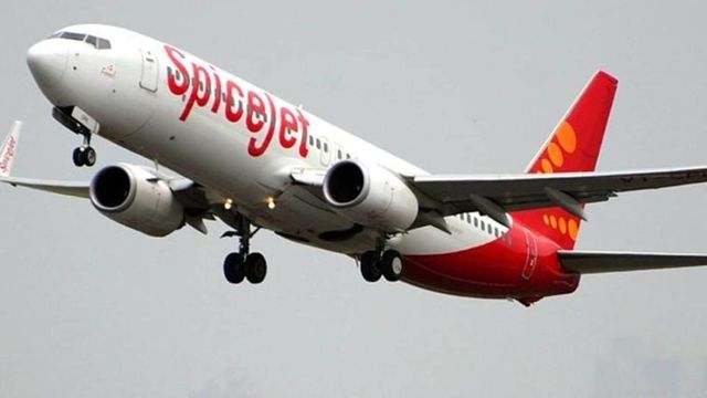 Leh-Bound SpiceJet Flight Returns To Delhi Airport After Bird Hit