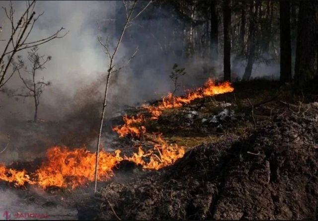 Explozie puternică, urmată de un incendiu de vegetație la Crocmaz, raionul Ștefan Vodă