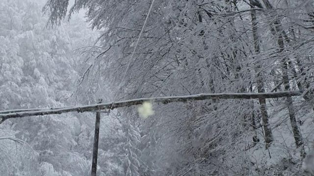 Zeci de mii de abonați din Alba fără curent electric și apă potabilă