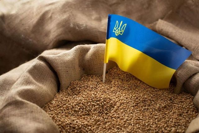 Ucraina ar putea transporta peste patru milioane de tone de cereale prin Moldova, spre Constanța