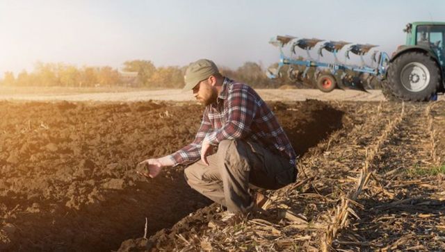 Fermierii acuză blocaje la rambursarea TVA și cer majorarea plafonului lunar