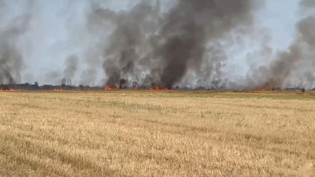 Incendiu de vegetație uscată la Iași! Pompierii intervin