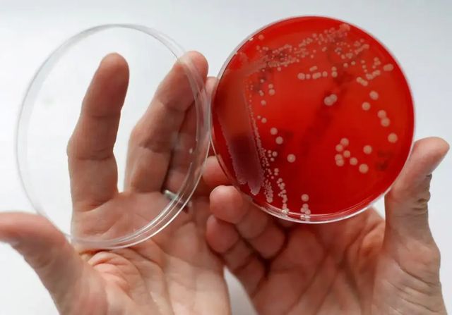 Japón alerta de una bacteria «carnívora» y mortal que podría llegar a España