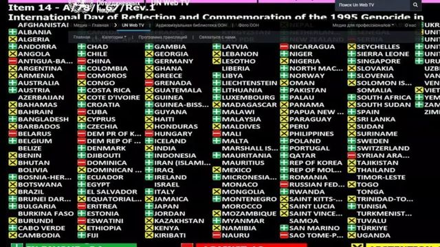 Общото събрание на ООН прие резолюцията за Сребреница