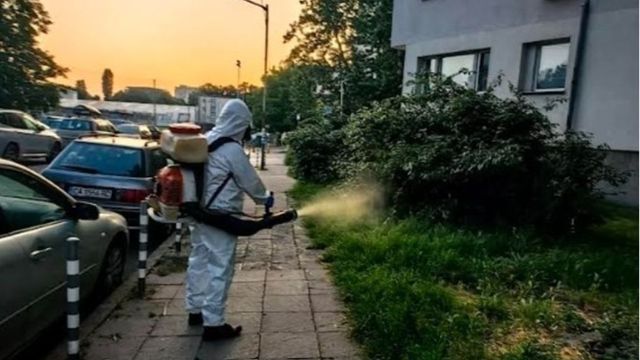 Започва спешна обработка срещу комари