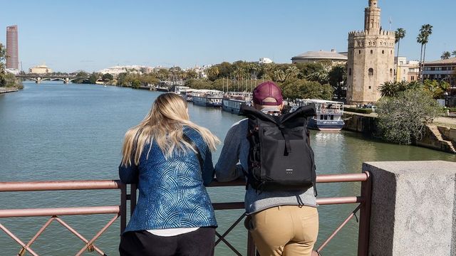 Después de la Constitución