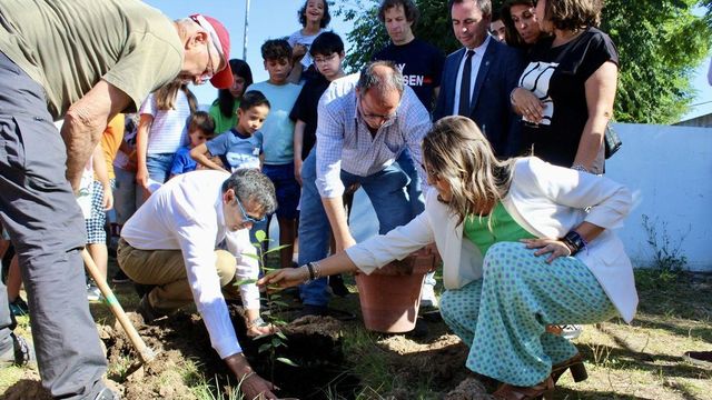 Escolares de un colegio cuidarán un clon del laurel plantado por Bécquer en Toledo