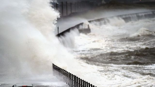 Жълт код за силен вятър в голяма част от страната