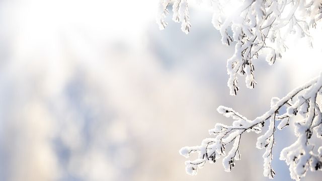 Жълт код за снеговалежи и силен вятър