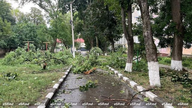 В Молдове объявлен желтый код из-за сильного ветра
