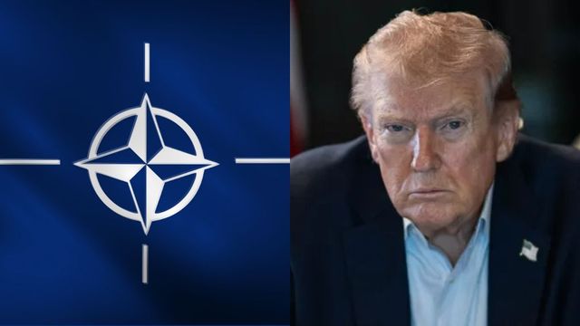 Donald Trump atacă NATO într-un mod fără precedent: “Niște lași! Un tigru de hârtie”
