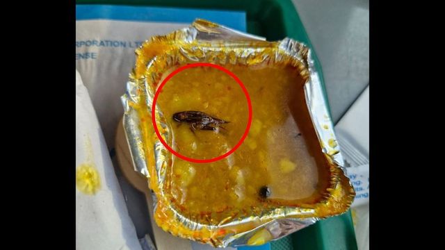 IRCTC apologises to Vande Bharat passenger who found cockroach in food