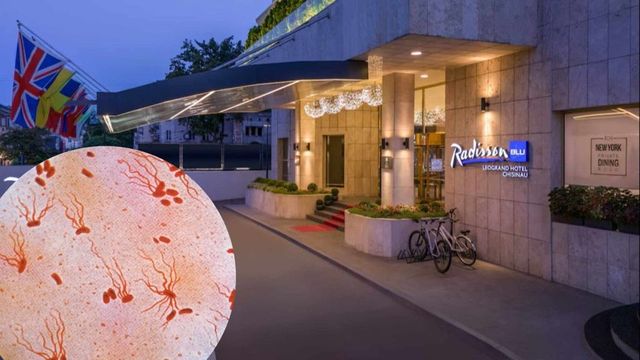 Mai multe persoane, internate cu suspiciune de Salmonella după un eveniment organizat într-un cunoscut hotel din Chișinău