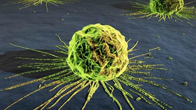 Más del 90% de la población mundial se verá afectada de alguna forma por el cáncer