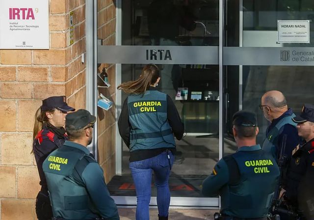 La Generalitat niega evidencias de que la peste porcina saliera del laboratorio investigado