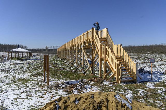 Gyanúsítottként hallgatták ki a nyírmártonfalvai lombkoronasétány ügyében a volt polgármestert