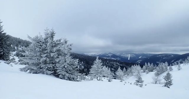 Hory v Česku zasype sníh, na Šumavě teploty klesly k minus 20 stupňům Celsia