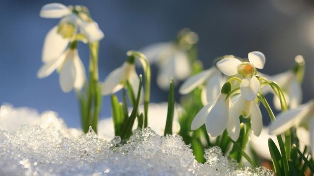 Precipitații puține și temperaturi peste cele normale în cea mai mare parte a lui februarie