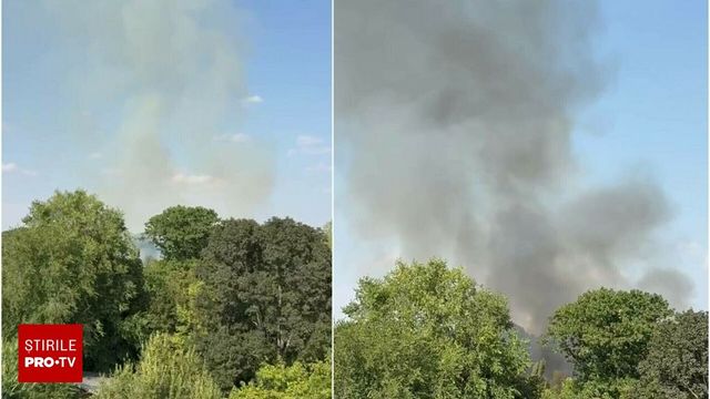 Incendiu la Grădina Zoologică București