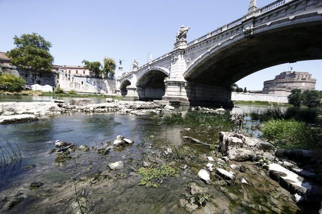 Oggi 5 giugno è la Giornata mondiale dell’Ambiente