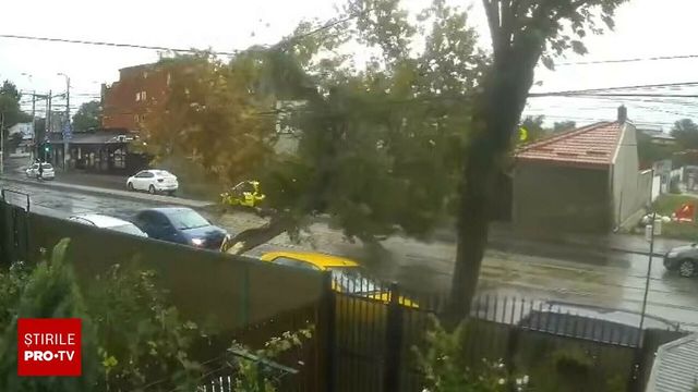 Momentul în care un copac se prăbușește peste o mașină aflată în mers, în București. Două vehicule, avariate