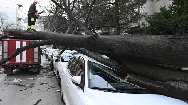 Жена загина след като дърво падна върху колата ѝ