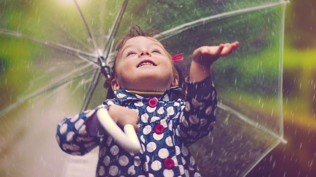 Валежи от дъжд на много места в България