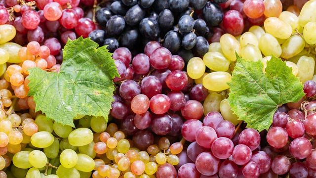 Șapte produse agricole moldovenești, exportate în Uniunea Europeană fără taxe vamale