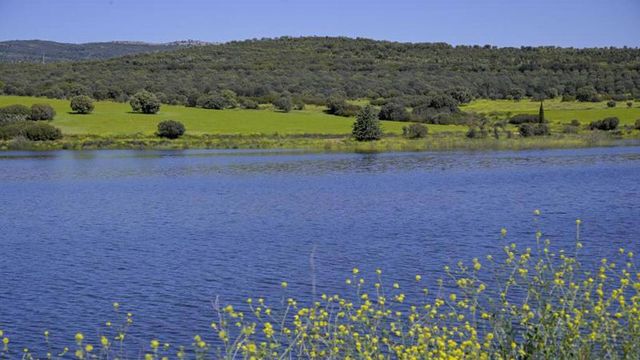 Los embalses ganan solo 17 hectómetros cúbicos, pero llegan a su mejor registro en casi 4 años