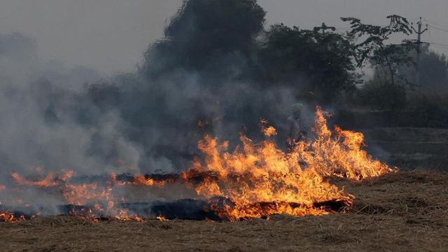 SC to examine if Punjab, Haryana farmers are evading satellite surveillance to burn crop stubble