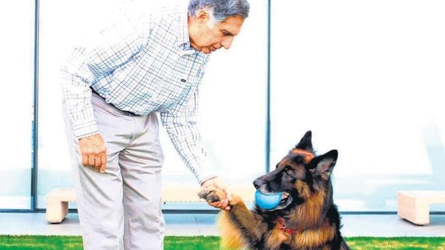 Ratan Tata Bequeaths Wealth To Foundation, Family, And Loyal Staff; Ensured Care For Pet Tito