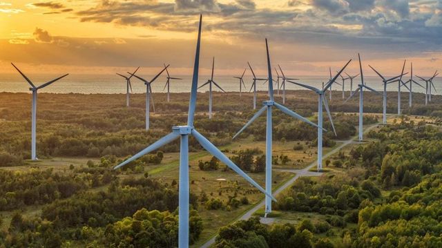 Ministerul Energiei impune condiții pentru turbinele eoliene – În ce spații vor putea fi instalate